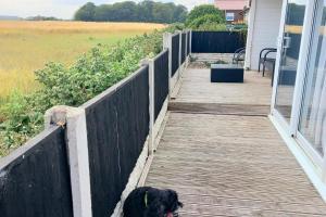 a dog standing on a wooden walkway next to a house at Beach 100m - Sea View - Log Burner - Dogs Welcome in Bridlington +6 photos