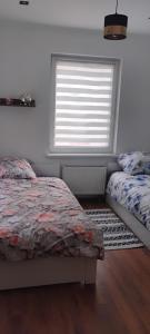 a bedroom with two beds and a window at Lipowy domek Mazury in Piecki