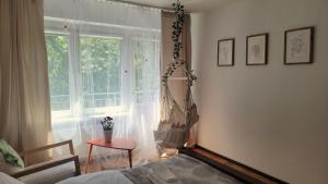 a living room with a window and a table at Happy One Park Apartment in Świdnica