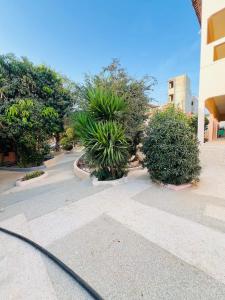 eine Straße mit Bäumen und Pflanzen auf einem Bürgersteig in der Unterkunft Chalet rose in Toubab Dialao