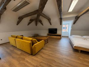 a living room with a couch and a tv at Zelena Ratolest in České Budějovice +49 photos
