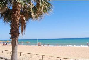 a palm tree on a beach with people on the beach at Brisa do Mar in Quarteira