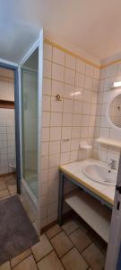 a bathroom with a sink and a shower at Duplex le Randonneur - Les Apparts du Sancy in Chastreix