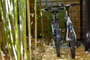 a bike parked next to a bamboo fence at les Aromatiques - terrasse & parking privé à VILLENEUVE LES AVIGNON - proche Golf Academy in Villeneuve-lès-Avignon