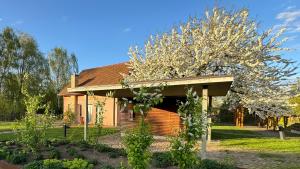 a house with a flowering tree in front of it at Alte Gärtnerei in Päwesin +15 photos