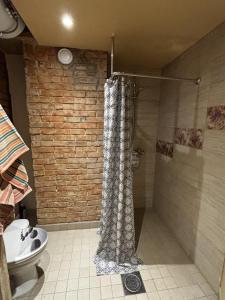 a bathroom with a shower and a toilet and a sink at Võhma Külamaja, room nr 8 in Võhma