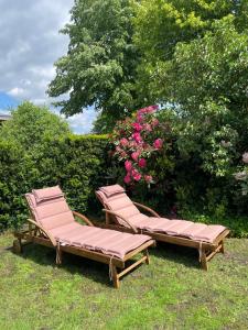 two lounge chairs and a bush with pink flowers at Marla zum Strand in Garrel