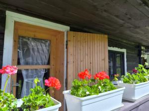 three potted flowers in white containers on a porch at Privát Evi 166 in Nižná Boca
