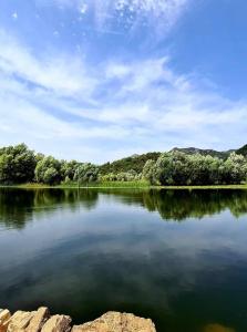 a body of water with trees in the background at S&M Apartments in Rijeka Crnojevića