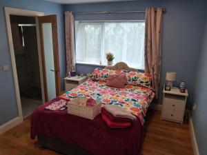 a bed in a bedroom with a window and a bed sidx sidx sidx at Swan Studio Haven in Lisdoonvarna