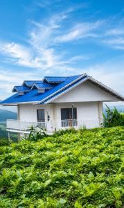 a house with solar panels on top of a hill at Sittong Aura in Kurseong +13 photos