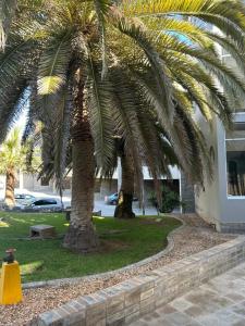 two palm trees in a park next to a building at Beach Hive 2 in Walvis Bay