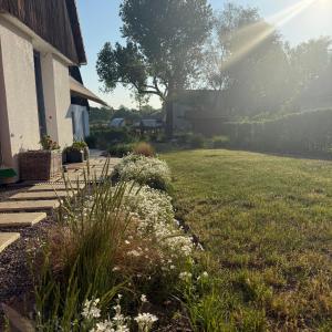 a yard with white flowers next to a house at Chalupa jako domov in Kolín