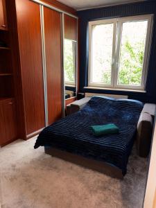 a bedroom with a bed with a green pillow on it at Mieszkanie w Centrum Hajnówki-Brama Puszczy Białowieskiej in Hajnówka