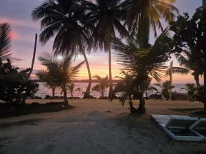 a sunset on a beach with palm trees and a boat at Cabañas T Estefany in Bocas Town