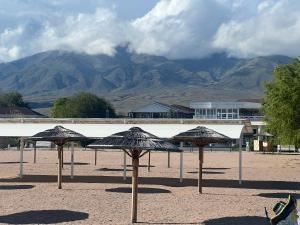 a group of umbrellas on a beach with mountains at Гостевой дом Кымбат in Chok-Tal +5 photos