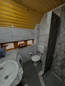 a bathroom with a sink and a toilet at Vlasic Odmor - Villa Krajina III in Vlasic +26 photos