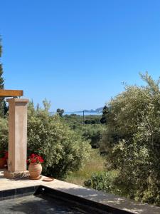 a vase with red flowers sitting on a porch at Studio Gaia in Kythira