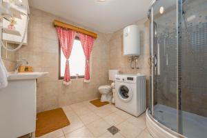 a bathroom with a toilet and a washing machine at Log Cabin Valley - Private Villa with Pool in Gospić +12 photos