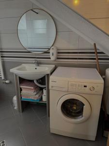 a bathroom with a washing machine and a mirror at Vlasic Odmor - Villa Krajina II in Vlasic