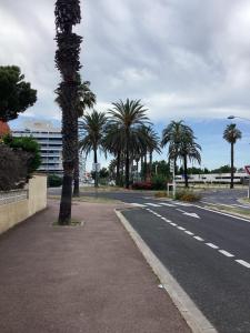 a palm tree on the side of a road at Celimène in Canet-en-Roussillon