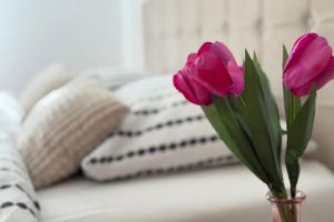 two pink flowers in a vase on a table at Boho Apartments in Trebinje