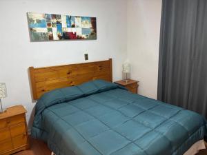 a bedroom with a bed with a blue comforter at Casa El Manantial in Vallenar