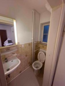 a bathroom with a toilet and a sink at Adriaapartman in Bad Wörishofen