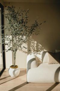 a white couch and a tree in a room at Kasa Dharma an oceanfront House in El Suazal