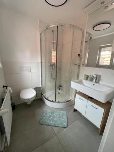 a bathroom with a shower and a sink and a toilet at Gemütliche Wohnung mit WLAN, TV und Parkplatz in Groß-Umstadt +12 photos