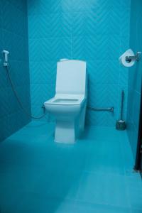 a bathroom with a toilet in a blue room at Monga's Apartments in Ndola +51 photos
