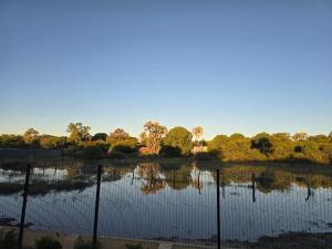 a body of water with trees in the background at Stegor Suites in Maun