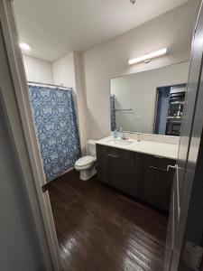 a bathroom with a sink and a toilet and a mirror at King Blue Oasis in Madison