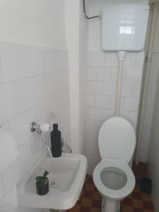 a bathroom with a toilet with a plant in it at Apartman Centar Lux in Pirot