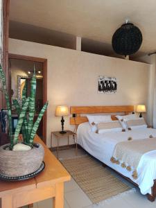 a bedroom with a bed and a cactus on a table at Villa Daba By Zelia in Ghazoua +66 photos