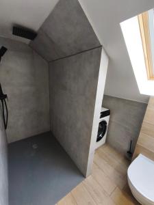 an attic bathroom with a toilet and a window at Willa Sunny Garden in Sint-Laureins +24 photos