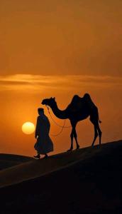 a man walking a camel in front of the sunset at Appartement chez bennouri in Telouet