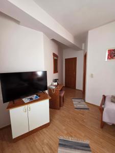 a living room with a large flat screen tv at Villa Palčić in Novalja