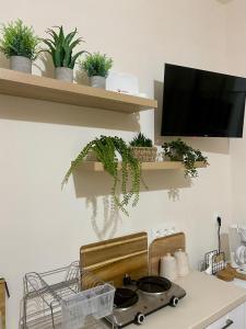 a kitchen with a counter with plants on shelves at Studio DKMK in Malia
