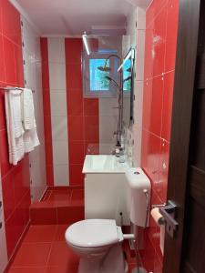 a red bathroom with a toilet and a sink at Garden vibe apartament in Luduş +20 photos