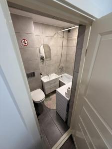 a small bathroom with a toilet and a sink at Ventos g 51 Apartment in Mažeikiai