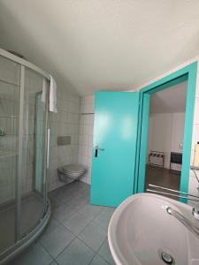 a bathroom with a shower and a sink and a toilet at Hotel Freihof in Glarus +33 photos
