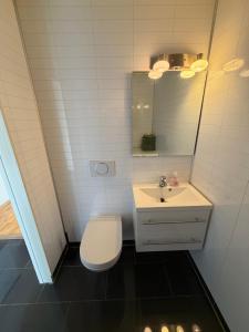 a bathroom with a toilet and a sink and a mirror at Leilighet for opptil 4 personer nær Sola flyplass og Stavanger sentrum in Sola +7 photos