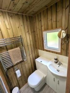 a bathroom with a toilet and a sink at Kingfisher Shepherd's Hut in Saint-Mars-sur-la-Futaie