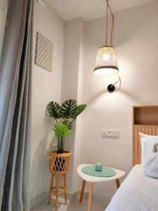 a bedroom with a bed and a table and a potted plant at LolaSuite Confort in El Rocío