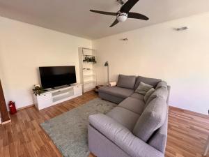 a living room with a couch and a flat screen tv at Leisi Forest View Apartment in Leisi