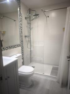 a bathroom with a shower and a toilet and a sink at Apartamentos Teresita in Badajoz +40 photos