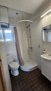a bathroom with a toilet and a shower and a sink at Ülejõe Apartment with Free Parking in Pärnu +9 photos