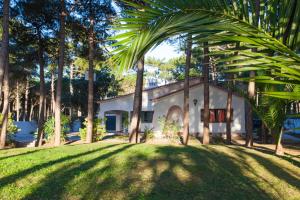 a house with a palm tree in front of it at Ocean, Pines and Mountain in Sintra