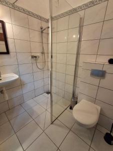 a bathroom with a shower and a toilet and a sink at Pałac Stanica in Przeworno +26 photos